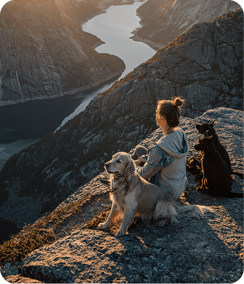 Pet parents with dogs overlooking a mountain landscape